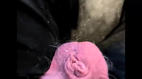 petrol63102 online show from 02/20/26, 01:22