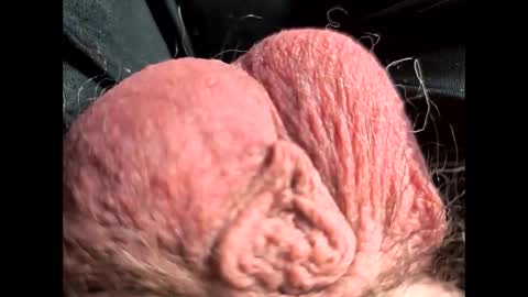 petrol63102 online show from 02/22/26, 01:09