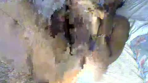Snapshot of pettite_cora1 chatting on 05/13/26, 11:40 pettite_cora1 online show from 05/13/26, 11:40