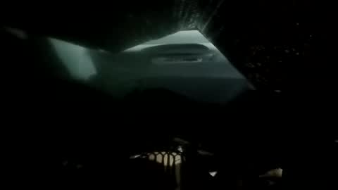 phillipdee online show from 11/26/25, 09:21