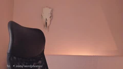 Snapshot of phoenixx_x chatting on 12/28/24, 10:02 phoenixx_x online show from 12/28/24, 10:02