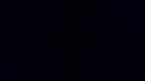 pickledalivemrf online show from 02/19/26, 03:46