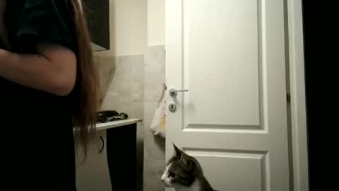 Snapshot of pieceofmoon chatting on 12/15/25, 08:35 Moonie online show from 12/15/25, 08:35