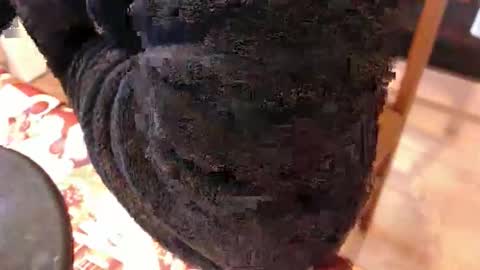 piercedcock069 online show from 01/17/26, 10:09