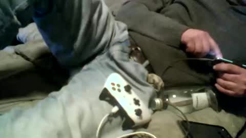 Pierke online show from 01/09/26, 12:57