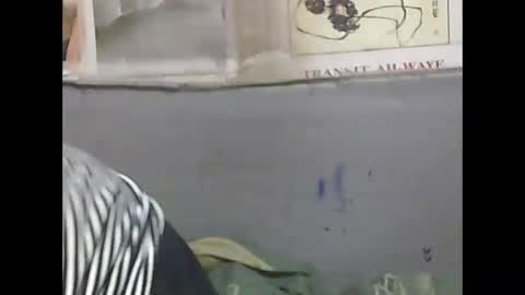 Snapshot of pierrette12345 chatting on 04/11/26, 06:34 pierrette12345 online show from 04/11/26, 06:34