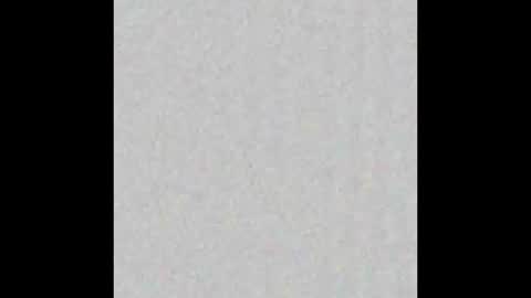 Snapshot of piledriver3469 chatting on 11/01/25, 01:57 piledriver3469 online show from 11/01/25, 01:57