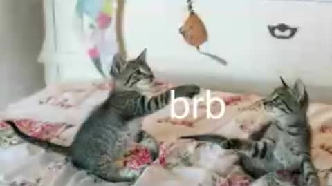 Snapshot of pink_girl0n chatting on 06/25/26, 01:38 Kitty online show from 06/25/26, 01:38