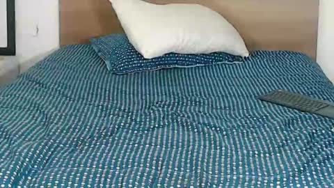 Snapshot of pinkliminof chatting on 01/29/25, 02:09 Pamela Ston online show from 01/29/25, 02:09