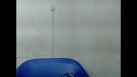 Snapshot of pinkxsugar chatting on 09/10/25, 06:13 pinkxsugar online show from 09/10/25, 06:13