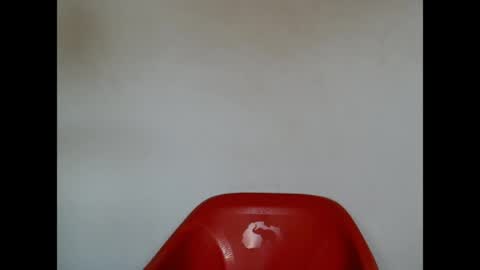 pinkxsugar online show from 04/21/26, 08:31