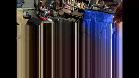FuckUpayMe online show from 02/09/26, 07:23