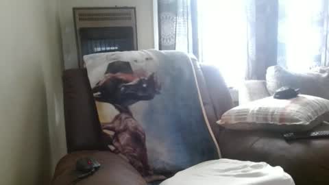 pirate334 online show from 02/03/26, 08:47