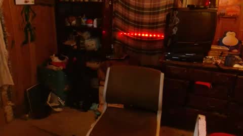 Izzy online show from 12/11/24, 12:33