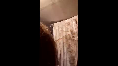 pizzedwife online show from 02/04/26, 07:09