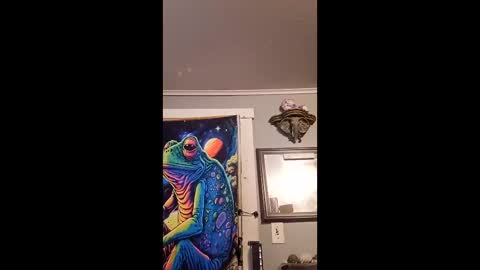 pizzedwife online show from 02/13/26, 08:16