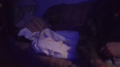 playerpleasure online show from 04/04/26, 10:02