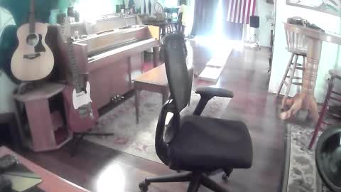 playerpleasure online show from 05/28/26, 05:54