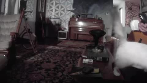 playerpleasure online show from 07/25/26, 09:07