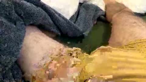 playful_hon online show from 02/01/26, 03:10