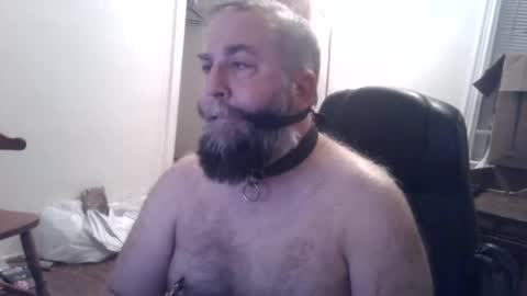 pleasurepuppt online show from 12/03/24, 01:52