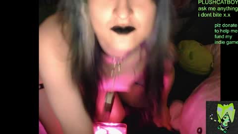 plushcatboy online show from 04/07/26, 04:24