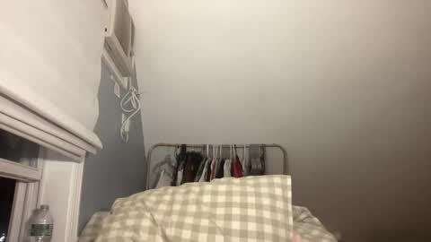 Snapshot of plushicore chatting on 02/15/26, 02:08 stariette online show from 02/15/26, 02:08