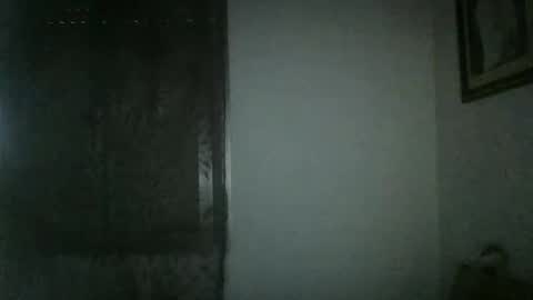 pocoyotop online show from 12/13/24, 04:38