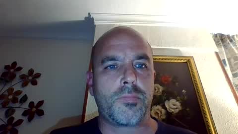 pocoyotop online show from 12/29/24, 09:09