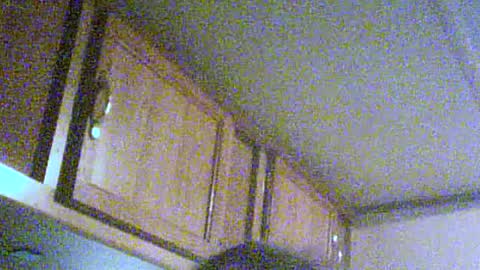 Snapshot of podzimek chatting on 06/21/26, 04:04 podzimek online show from 06/21/26, 04:04