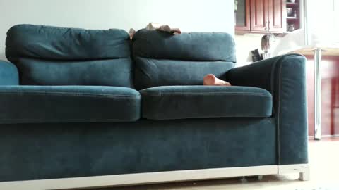 Snapshot of pokusss chatting on 01/15/26, 01:05 pokusss online show from 01/15/26, 01:05