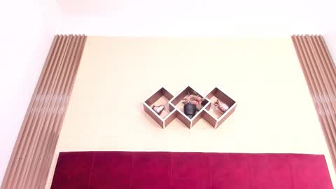 Polet online show from 12/19/24, 10:53