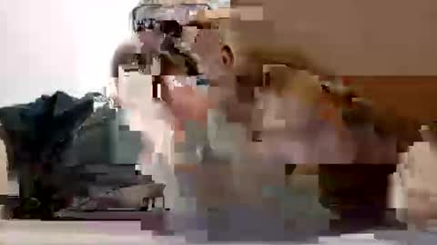 poli online show from 02/27/26, 07:14