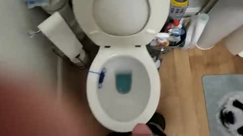 polishx42 online show from 02/02/26, 03:55