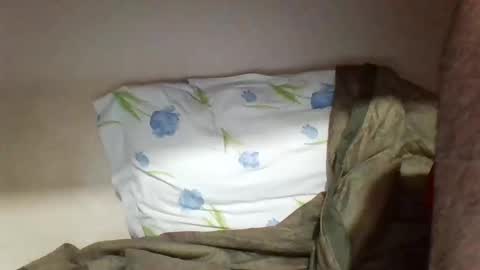 pollaa_19 online show from 05/18/26, 11:21
