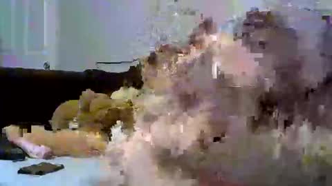 sativa  indica online show from 01/12/26, 01:22