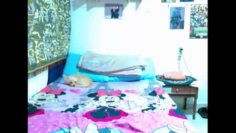 Gian online show from 01/05/25, 08:42