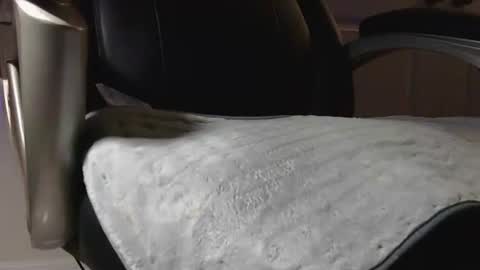 Snapshot of poppyntx chatting on 02/20/26, 03:36 poppyntx online show from 02/20/26, 03:36