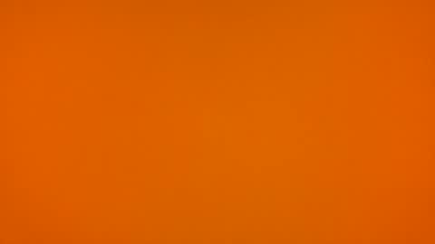 Poprigyn53535 online show from 02/22/26, 10:36