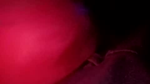 Snapshot of porkchop696974 chatting on 02/20/26, 06:59 porkchop696974 online show from 02/20/26, 06:59