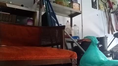 PipeLayerPlayer007 online show from 09/14/25, 04:50