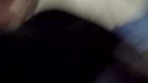 PipeLayerPlayer007 online show from 04/08/26, 04:34