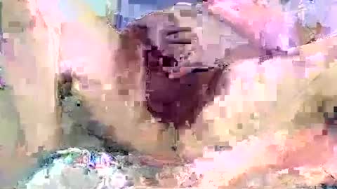 Snapshot of poundittt chatting on 09/14/25, 02:22 dikud0wn online show from 09/14/25, 02:22