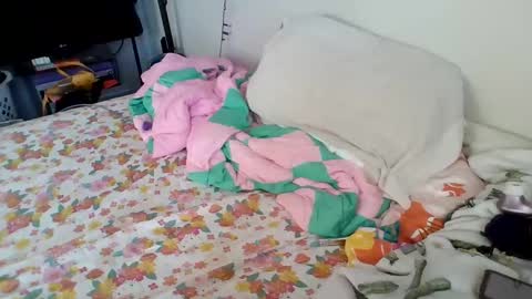 PAWG Pale Princess online show from 01/20/25, 04:34