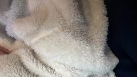 Snapshot of prelako chatting on 10/26/25, 12:00 Prelako online show from 10/26/25, 12:00