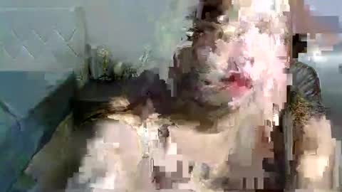 jenny online show from 10/27/25, 07:18