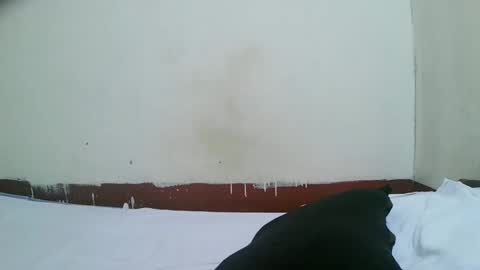 pretty_mellan online show from 01/30/25, 11:22