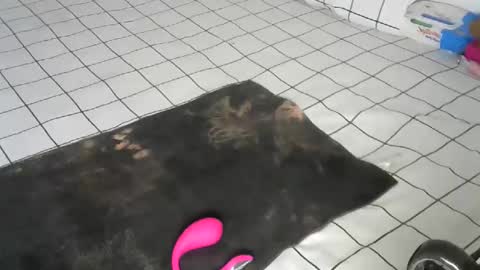 Pretty doll online show from 12/22/25, 09:39