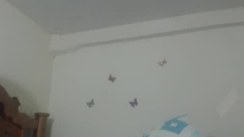 Snapshot of pretty_rose_ chatting on 02/24/25, 06:49 Rose online show from 02/24/25, 06:49