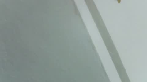 Snapshot of pretty_rose_ chatting on 11/14/25, 08:24 Rose online show from 11/14/25, 08:24